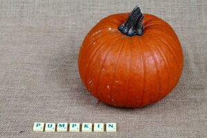 1. 英語学習に役立つ！おすすめ無料アプリはどれですか？